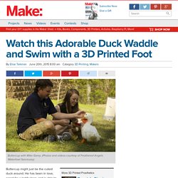 Duck Waddles and Swims with New 3D Printed Foot