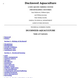 Duckweed Aquaculture