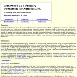 Duckweed as a Primary Feedstock for Aquaculture