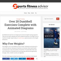 Over 20 Dumbbell Exercises Complete with Animated Diagrams - Sport Fitness Advisor