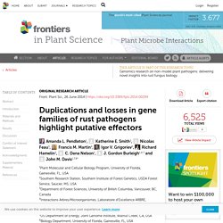 Duplications and losses in gene families of rust pathogens highlight putative effectors