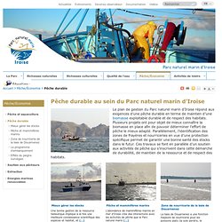 Pêche durable - Pêche/Économie - Parc naturel marin - Iroise