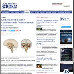 La méditation modifie durablement le fonctionnement du cerveau