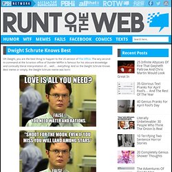 Runt Of The Web - StumbleUpon