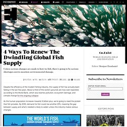 4 Ways To Renew The Dwindling Global Fish Supply