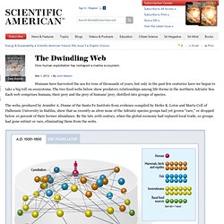 The Dwindling Web