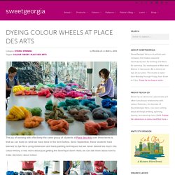 Dyeing Colour Wheels at Place des Arts - SweetGeorgia Yarns