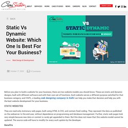Static Vs Dynamic Website: Which One Is Best For Your Business?