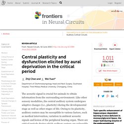 Central plasticity and dysfunction elicited by aural deprivation in the critical period