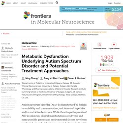 Metabolic Dysfunction Underlying Autism Spectrum Disorder and Potential Treatment Approaches