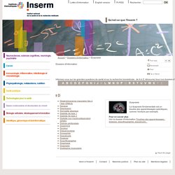 Dys et neurosciences: site de l'INSERM