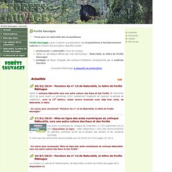 e-Sciences : Forêts Sauvages