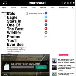 HuffPost is now a part of Oath