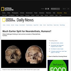 Much Earlier Split for Neanderthals, Humans?