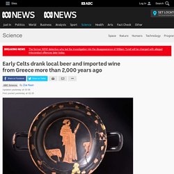 Early Celts drank local beer and imported wine from Greece more than 2,000 years ago - Science News - ABC News