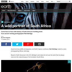 Earth - A wild portrait of South Africa