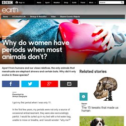 Earth - Why do women have periods when most animals don't?