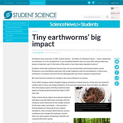 Tiny earthworms’ big impact