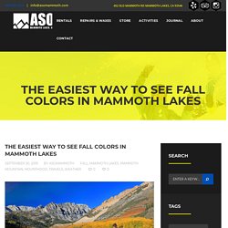 The Easiest Way to See Fall Colors in Mammoth Lakes - ASO Mammoth
