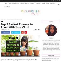 Top 3 Easiest Flowers to Plant With Your Child