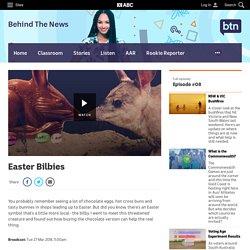 Easter Bilbies - Classroom - BTN