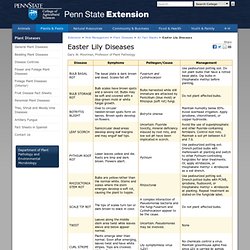 PENN STATE EXTENSION - Easter Lily Diseases.
