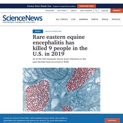 Eastern equine encephalitis has killed 9 people in the U.S. in 2019
