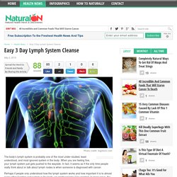Easy 3 Day Lymph System Cleanse