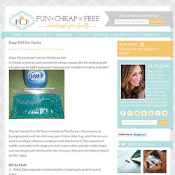 The Fun Cheap or Free Queen: You're Welcome Wednesday: DIY Ice Packs