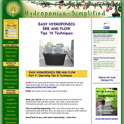 EASY HYDROPONICS EBB AND FLOW - TIPS