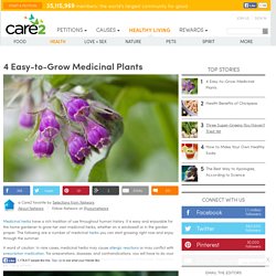 4 Easy-to-Grow Medicinal Plants