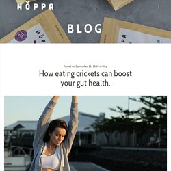 How eating crickets can boost your gut health. - Hoppa