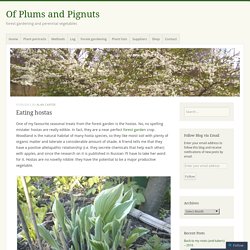 Eating hostas – Of Plums and Pignuts