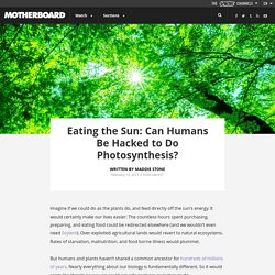 Eating the Sun: Can Humans Be Hacked to Do Photosynthesis?
