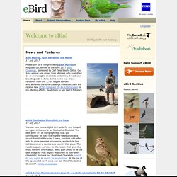 News and Features — eBird