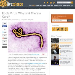 Ebola Virus: Why Isn't There a Cure?