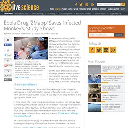 Ebola Drug 'ZMapp' Saves Infected Monkeys, Study Shows