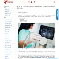 Role of Echocardiography in Blood Flow Obstruction Disorder