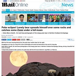 Polar eclipse! Lonely bear spreads himself over some rocks and catches some zzzzz under a full moon