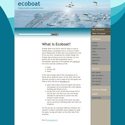 What is Ecoboat?