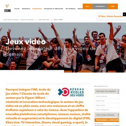 Ecole du Jeu vidéo : game design, game programming, game art - IIM Paris