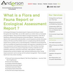 What is a Flora and Fauna Report or Ecological Assessment Report ? – Anderson Environmental