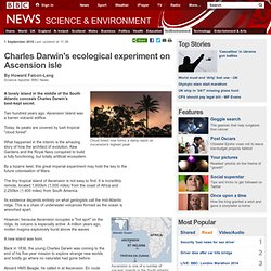 Charles Darwin's ecological experiment on Ascension isle