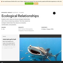 Ecological Relationships