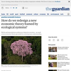 How do we redesign a new economic theory framed by ecological systems?