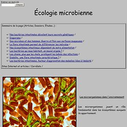 Écologie microbienne