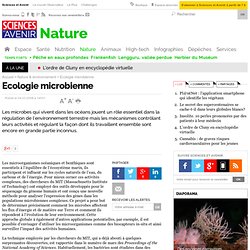 Ecologie microbienne - 4 mars 2008