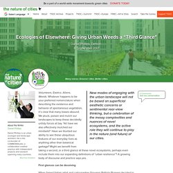 Ecologies of Elsewhere: Giving Urban Weeds a "Third Glance" – The Nature of Cities