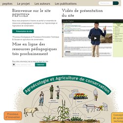 Pepites - Processus écologiques et Processus d'Innovation TEchnique et Sociale en agriculture de conservation