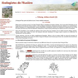 Les ecologistes de l'Euzière : ... l’étang, milieu vivant (3)